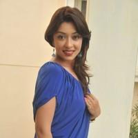 Payal Ghosh hot in Mini Blue dress - Photos | Picture 102720